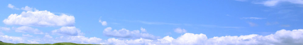 藤川鍼灸整骨院：埼玉県富士見市西みずほ台