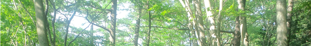 藤川鍼灸整骨院：埼玉県富士見市西みずほ台