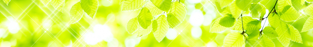 藤川鍼灸整骨院：埼玉県富士見市西みずほ台